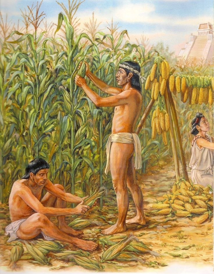 Imagen de la fuente