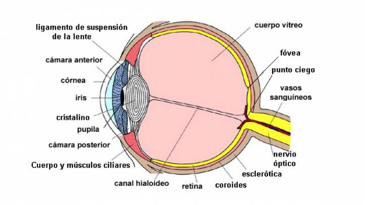 Imagen de la fuente
