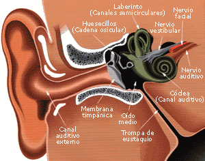 Imagen de la fuente