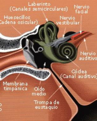 Imagen de la fuente