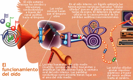 Imagen de la fuente