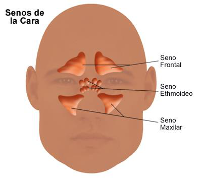 Imagen de la fuente